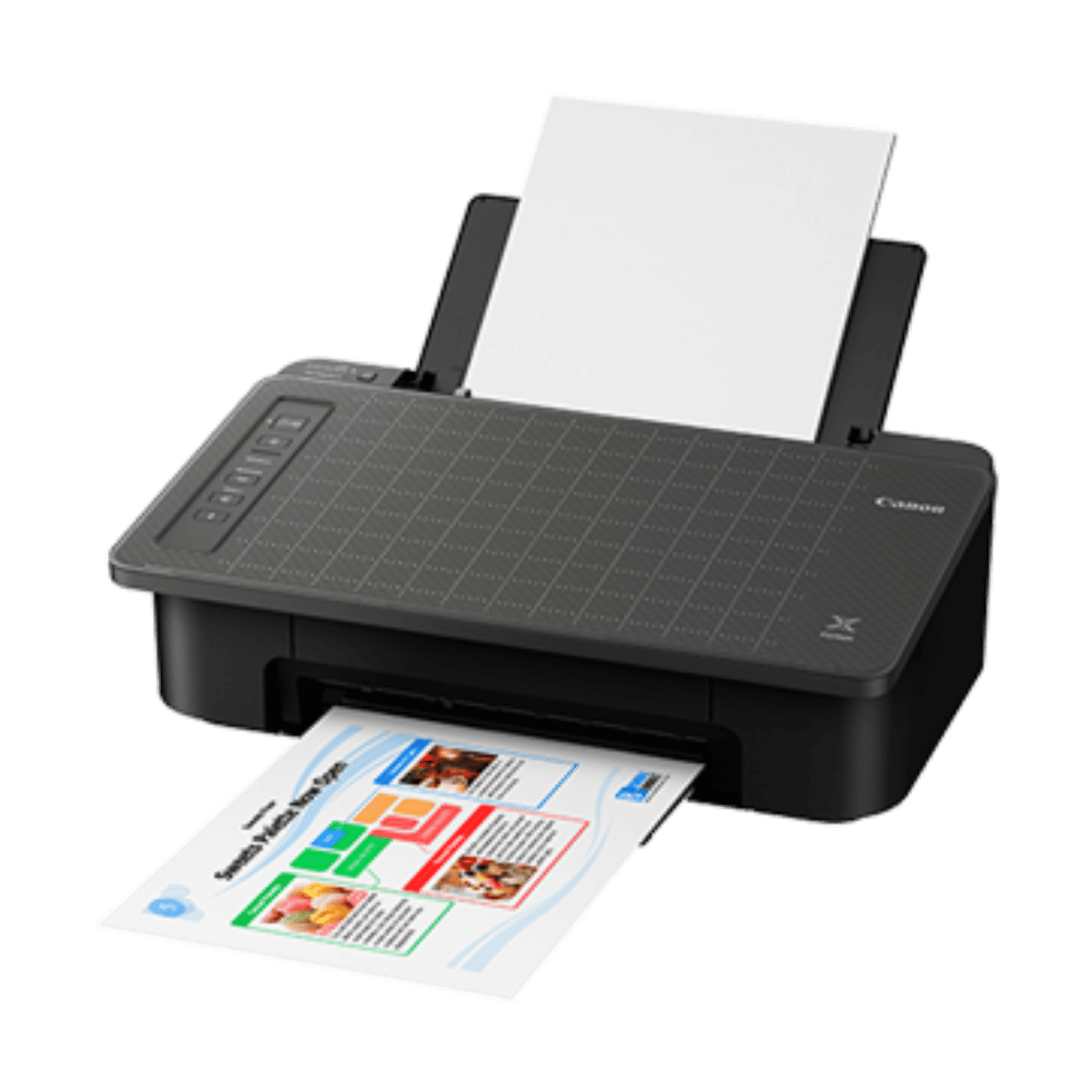 PIXMA TS307